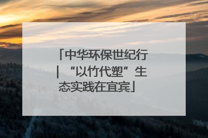 中华环保世纪行｜“以竹代塑”生态实践在宜宾