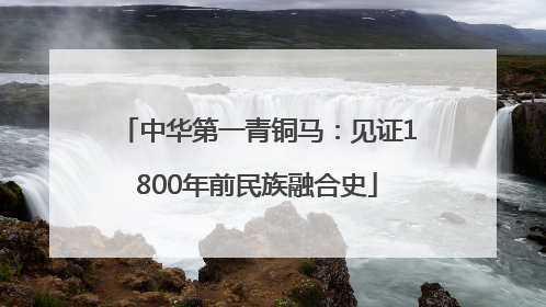 中华第一青铜马：见证1800年前民族融合史