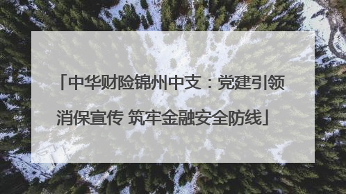 中华财险锦州中支：党建引领消保宣传 筑牢金融安全防线