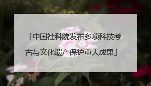 中国社科院发布多项科技考古与文化遗产保护重大成果