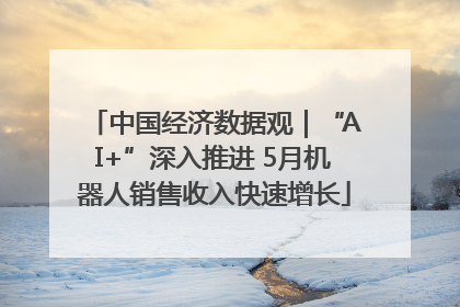 中国经济数据观｜“AI+”深入推进 5月机器人销售收入快速增长