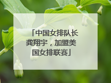中国女排队长龚翔宇，加盟美国女排联赛