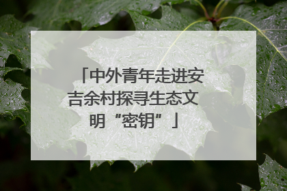 中外青年走进安吉余村探寻生态文明“密钥”