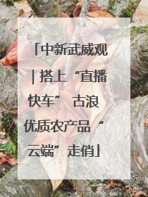 中新武威观｜搭上“直播快车” 古浪优质农产品“云端”走俏