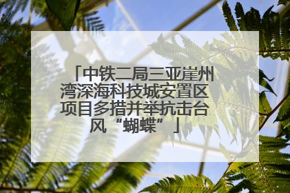 中铁二局三亚崖州湾深海科技城安置区项目多措并举抗击台风“蝴蝶”