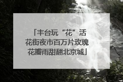 丰台玩“花”活 花街夜市百万片玫瑰花瓣雨甜翻北京城