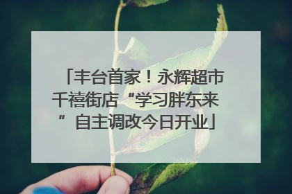 丰台首家！永辉超市千禧街店“学习胖东来”自主调改今日开业