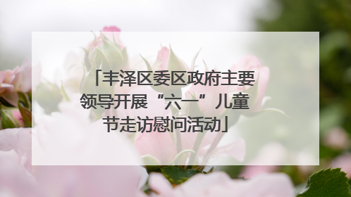 丰泽区委区政府主要领导开展“六一”儿童节走访慰问活动