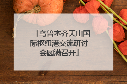 乌鲁木齐天山国际枢纽港交流研讨会圆满召开