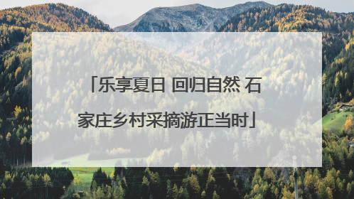 乐享夏日 回归自然 石家庄乡村采摘游正当时