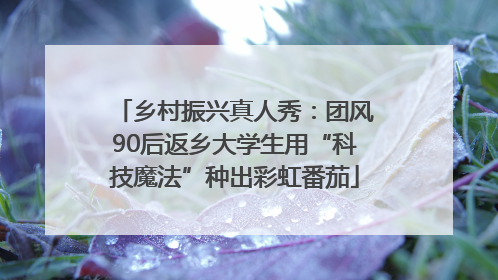 乡村振兴真人秀：团风90后返乡大学生用“科技魔法”种出彩虹番茄