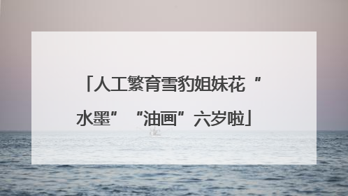 人工繁育雪豹姐妹花“水墨”“油画”六岁啦