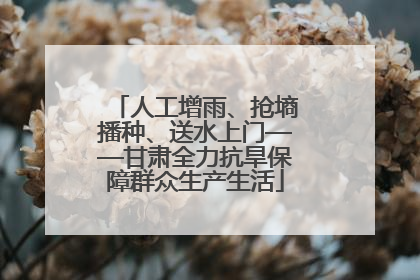 人工增雨、抢墒播种、送水上门——甘肃全力抗旱保障群众生产生活