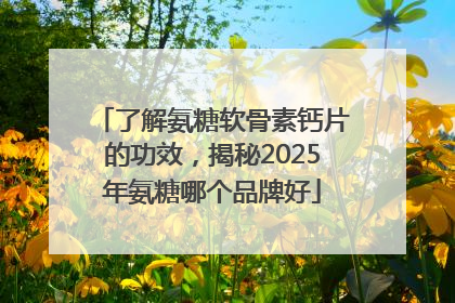 了解氨糖软骨素钙片的功效，揭秘2025年氨糖哪个品牌好