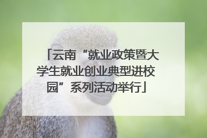 云南“就业政策暨大学生就业创业典型进校园”系列活动举行