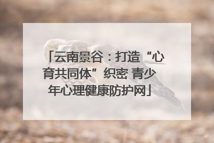 云南景谷：打造“心育共同体”织密 青少年心理健康防护网