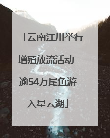 云南江川举行增殖放流活动 逾54万尾鱼游入星云湖