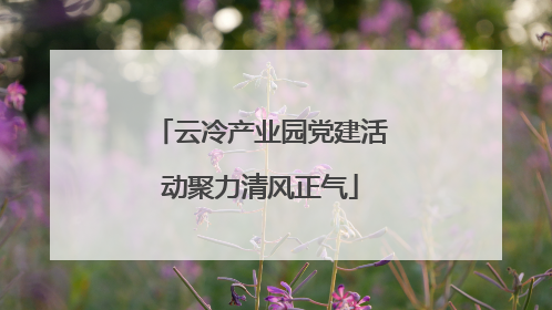 云冷产业园党建活动聚力清风正气