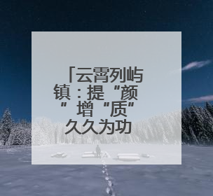 云霄列屿镇：提“颜”增“质” 久久为功勾勒乡村振兴新画卷