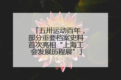 五卅运动百年，部分重要档案史料首次亮相“上海工会发展历程展”