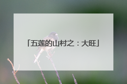 五莲的山村之：大旺