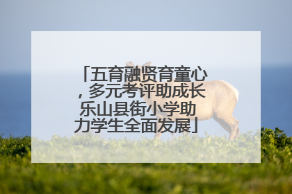 五育融贤育童心，多元考评助成长 乐山县街小学助力学生全面发展