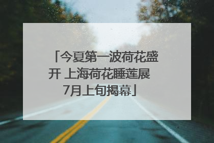 今夏第一波荷花盛开 上海荷花睡莲展7月上旬揭幕
