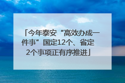 今年泰安“高效办成一件事”国定12个、省定2个事项正有序推进