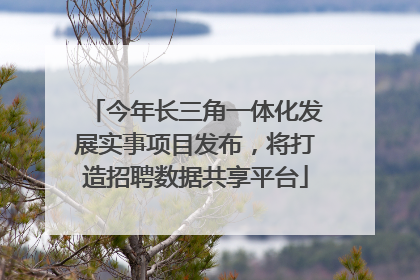 今年长三角一体化发展实事项目发布，将打造招聘数据共享平台