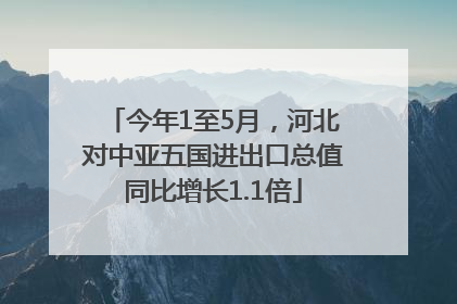 今年1至5月，河北对中亚五国进出口总值同比增长1.1倍