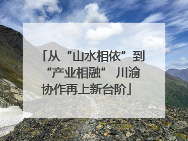 从“山水相依”到“产业相融” 川渝协作再上新台阶