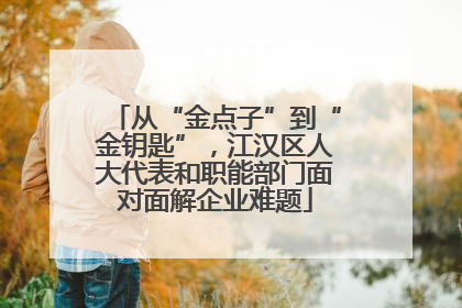 从“金点子”到“金钥匙”，江汉区人大代表和职能部门面对面解企业难题