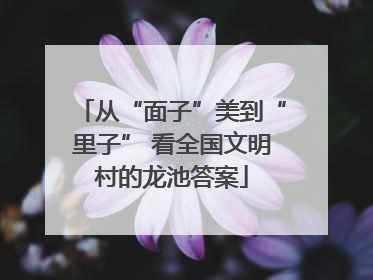 从“面子”美到“里子” 看全国文明村的龙池答案