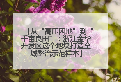 从“高压困地”到“千亩良田”：浙江金华开发区这个地块打造全域整治示范样本