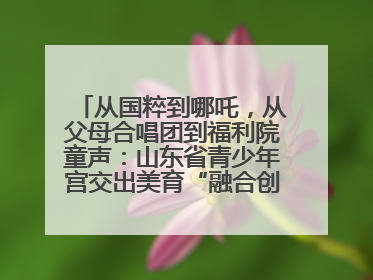 从国粹到哪吒，从父母合唱团到福利院童声：山东省青少年宫交出美育“融合创新”答卷