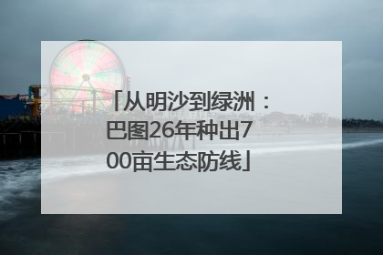 从明沙到绿洲：巴图26年种出700亩生态防线