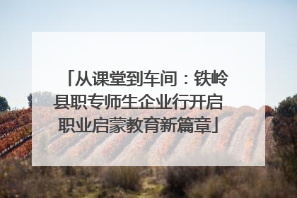 从课堂到车间：铁岭县职专师生企业行开启职业启蒙教育新篇章