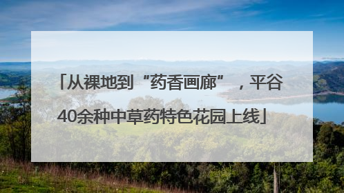 从裸地到“药香画廊”，平谷40余种中草药特色花园上线