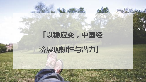 以稳应变，中国经济展现韧性与潜力
