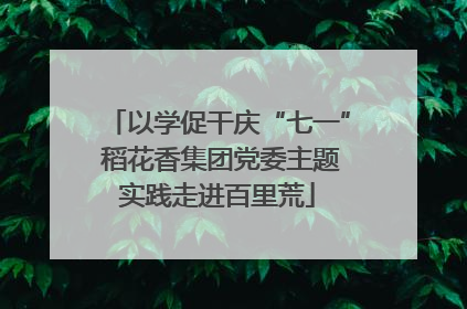 以学促干庆“七一” 稻花香集团党委主题实践走进百里荒