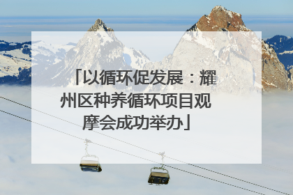 以循环促发展：耀州区种养循环项目观摩会成功举办