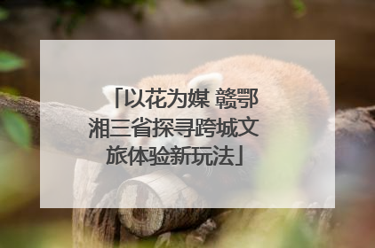 以花为媒 赣鄂湘三省探寻跨城文旅体验新玩法