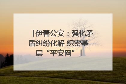 伊春公安：强化矛盾纠纷化解 织密基层“平安网”