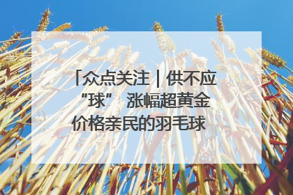 众点关注｜供不应“球” 涨幅超黄金 价格亲民的羽毛球为何身价飞涨？