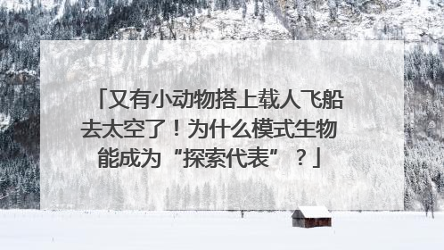 又有小动物搭上载人飞船去太空了！为什么模式生物能成为“探索代表”？