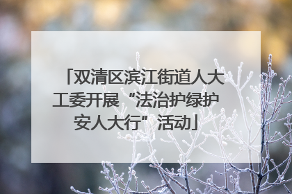 双清区滨江街道人大工委开展“法治护绿护安人大行”活动
