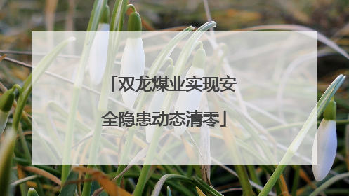 双龙煤业实现安全隐患动态清零