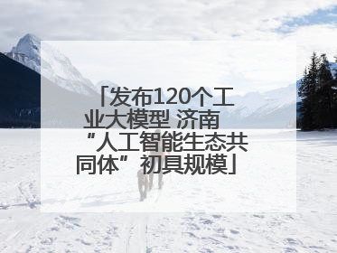 发布120个工业大模型 济南 “人工智能生态共同体”初具规模