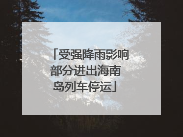 受强降雨影响 部分进出海南岛列车停运