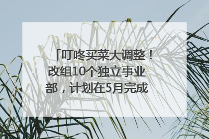 叮咚买菜大调整！改组10个独立事业部，计划在5月完成App端全面改版